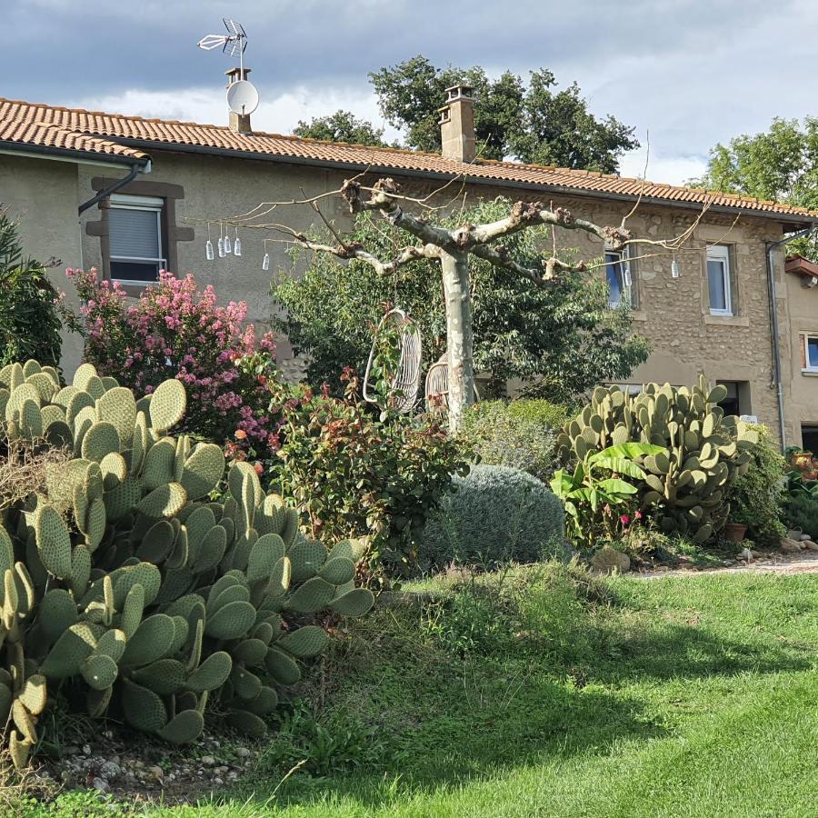 Les Figuets Villa Chateauneuf-de-Galaure Exterior photo